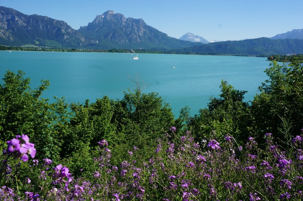 VIEW AT LAKE FORGGENSEE & MOUNT SÄULING Lake Forggensee holiday home Füssen